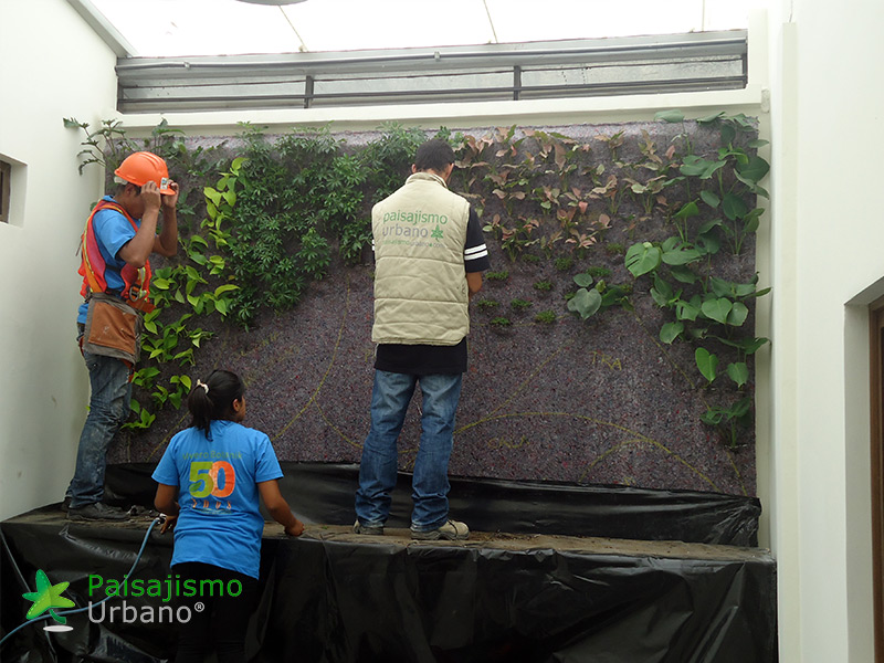 jardin vertical guatemala