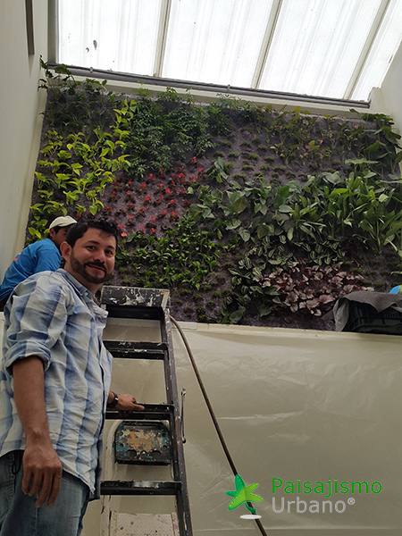 fachada vegetal en guatemala