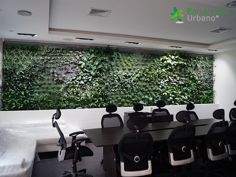 fachada vegetal en guatemala