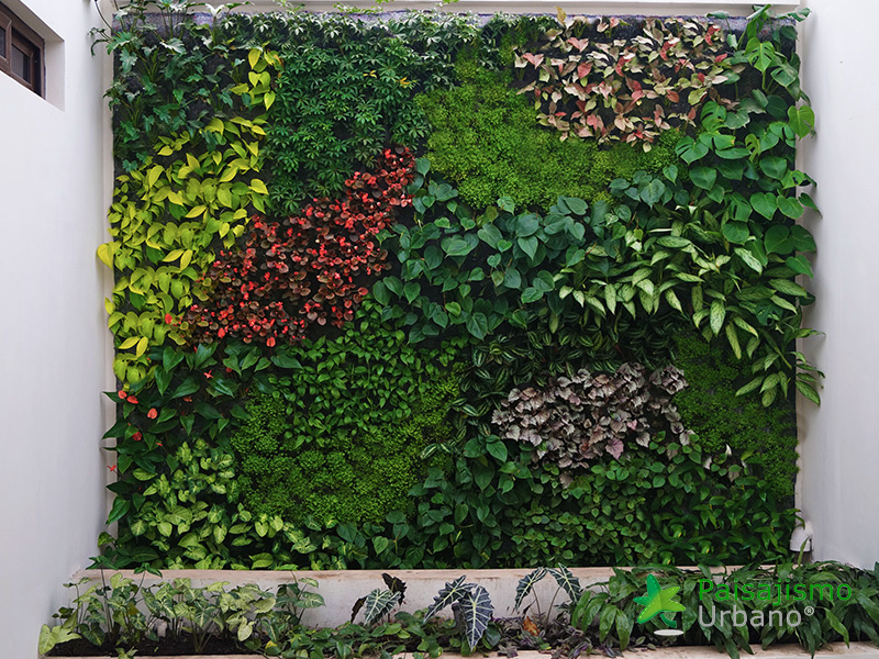 fachada vegetal en guatemala