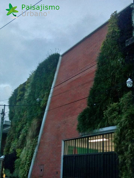 jardines verticales guatemala