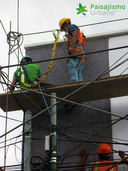 jardin vertical guatemala paisajismo urbano
