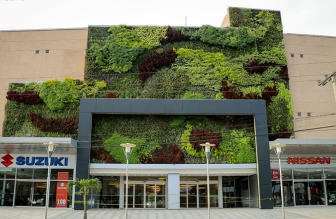jardin vertical bolivia
