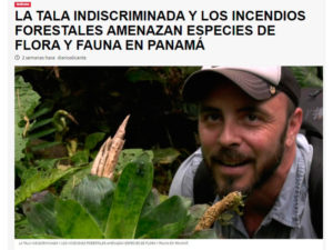 Ignacio solano panamá