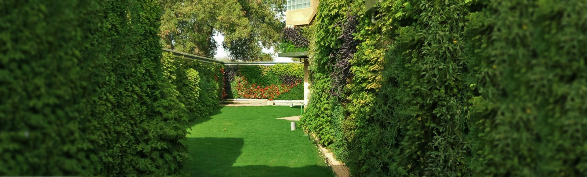 jardines verticales arabia