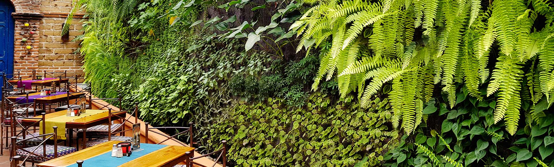 jardin vertical restaurante guatemala