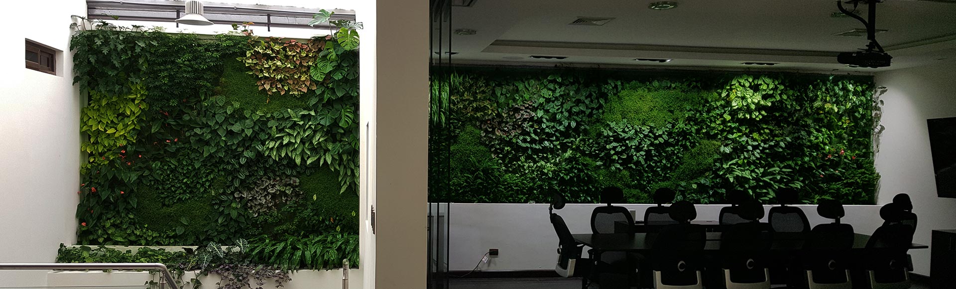 jardines verticales en guatemala