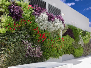 proyecto-jardin-vertical-argentina-02_1