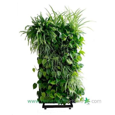 Jardín Vertical Modular Hydrowall