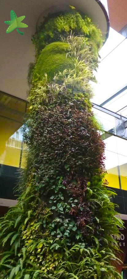 En octubre de 2018 realizamos junto con nuestros colaboradores un jardín vertical en Guatemala.