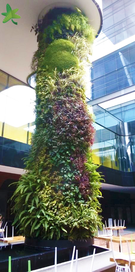 En octubre de 2018 realizamos junto con nuestros colaboradores un jardín vertical en Guatemala.