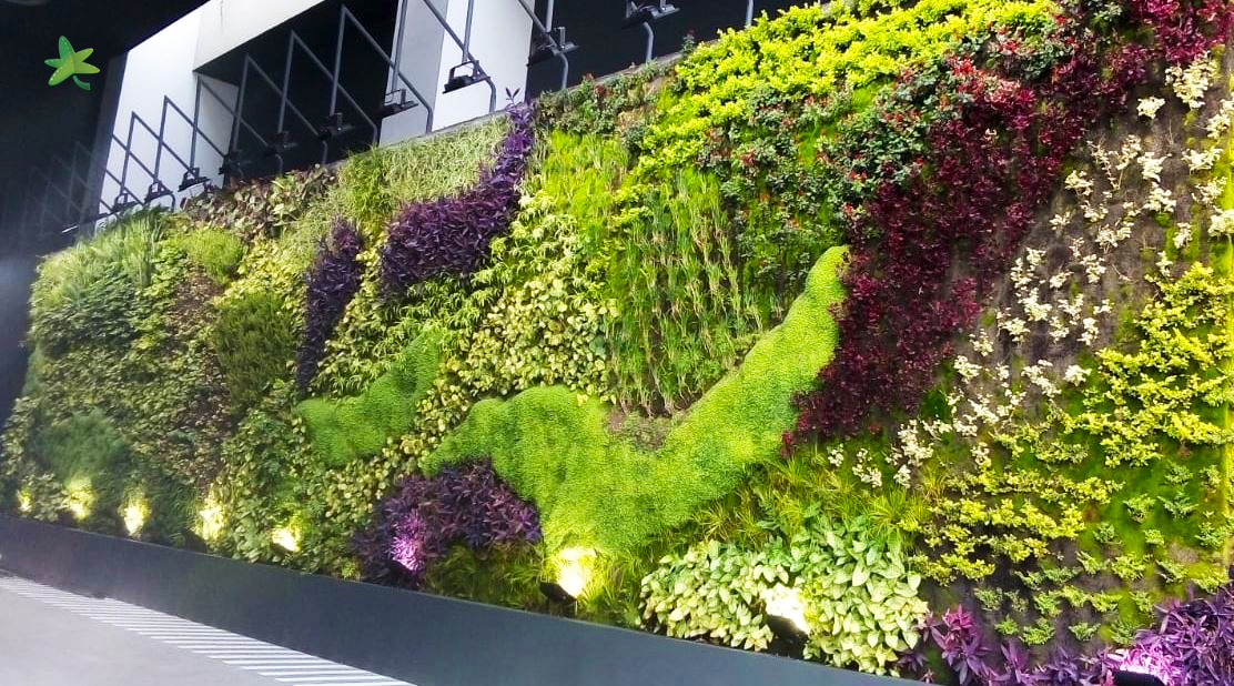 En octubre de 2018 realizamos junto con nuestros colaboradores un jardín vertical en Guatemala.