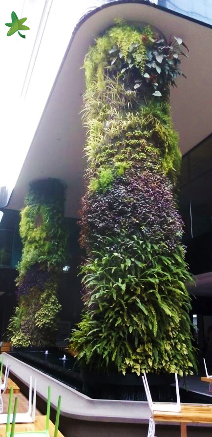 En octubre de 2018 realizamos junto con nuestros colaboradores un jardín vertical en Guatemala.