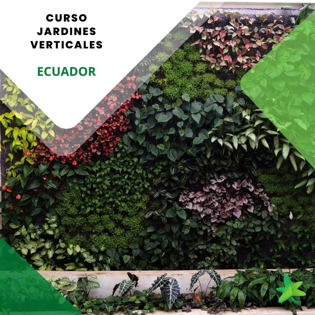 Jardines Verticales en Ecuador 1 Paisajismo Urbano Curso jardines verticales Ecuador