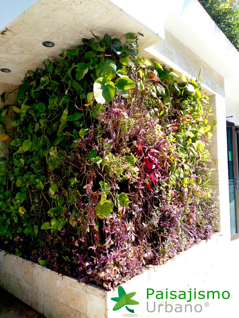 Jardín Vertical en el Grand Roatar Caribbean Resort en Honduras