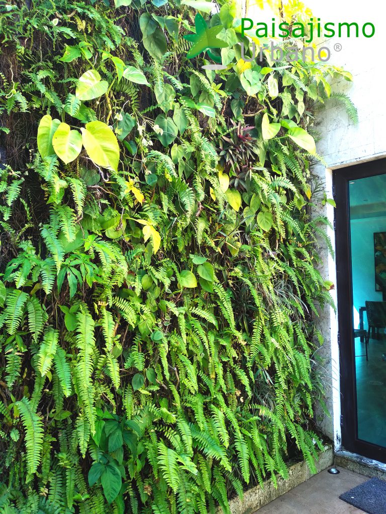 Jardín Vertical en el Grand Roatar Caribbean Resort en Honduras