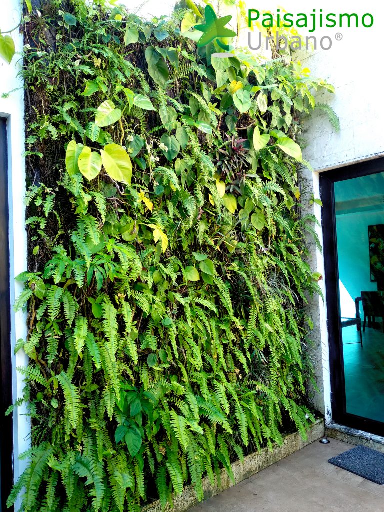 Jardín Vertical en el Grand Roatar Caribbean Resort en Honduras