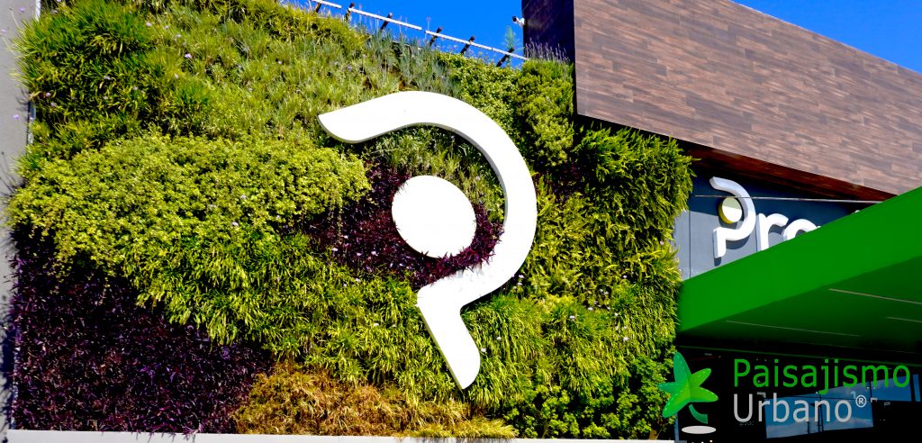 Jardín Vertical en Pradera Chimaltenango
