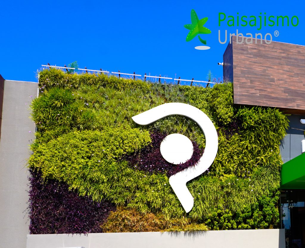 Jardín Vertical en Pradera Chimaltenango