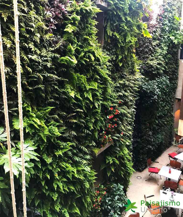 Jardín vertical en tarifa paisajismo urbano
