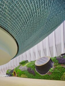 Entrevista a Ignacio Solano en Àpunt sobre el CaixaForum Valencia 2 Paisajismo Urbano Jardín vertical caixaforum