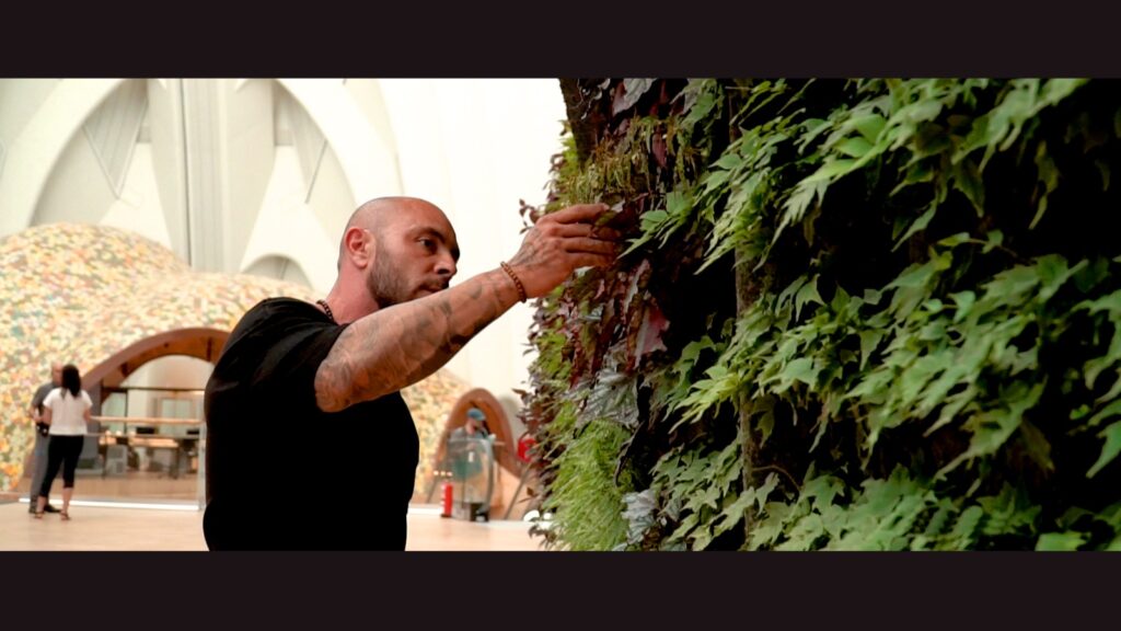 Ignacio Solano, el ceutí que ha creado el jardín vertical interior más grande de Europa 1 Paisajismo Urbano WhatsApp Image 2022 09 26 at 12.48.47