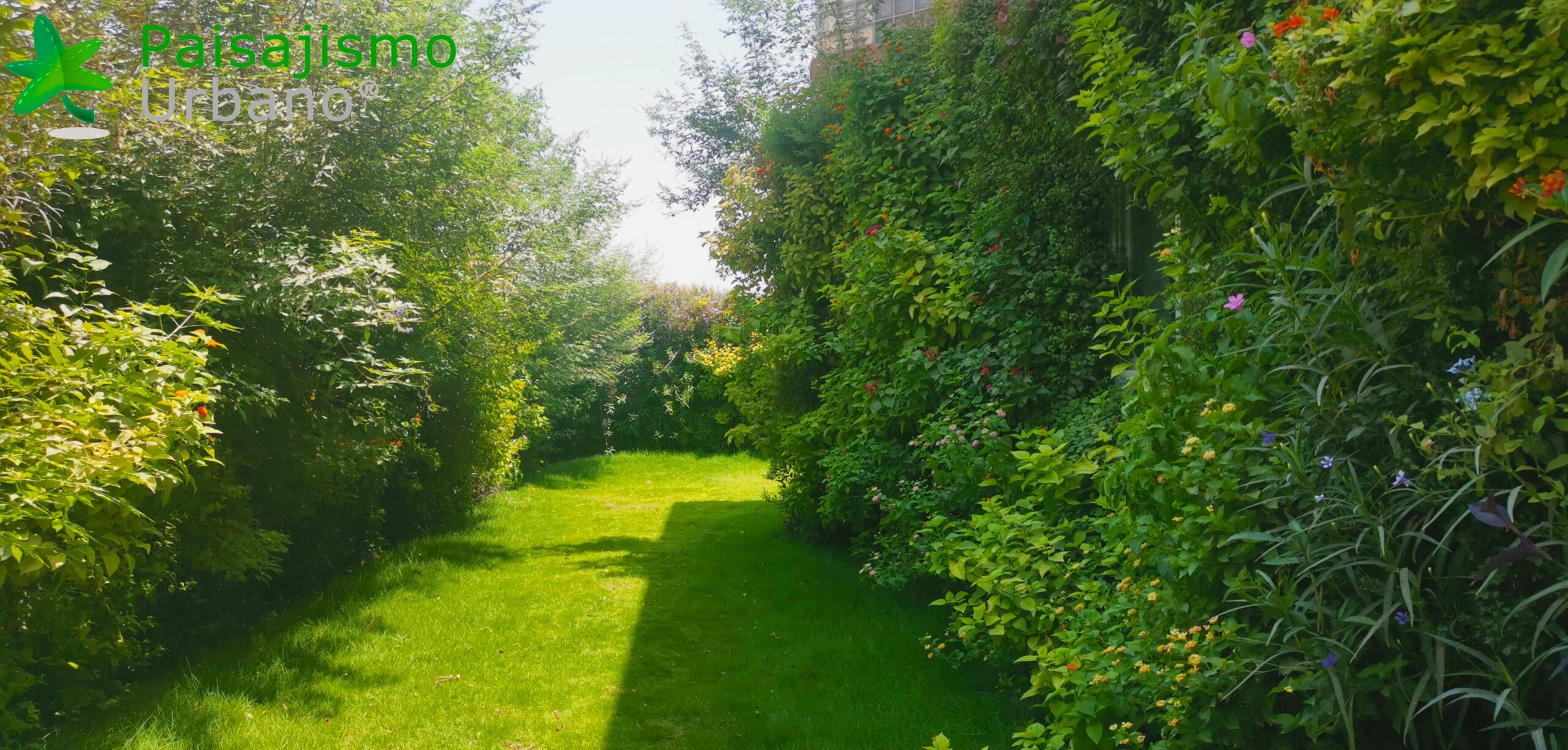 jardines verticales naturales