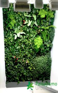 jardín vertical interior