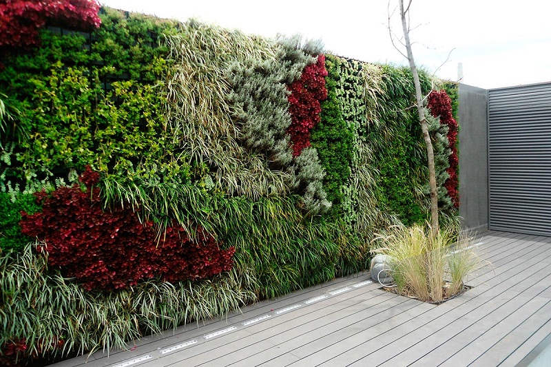 estudiar jardinería vertical
