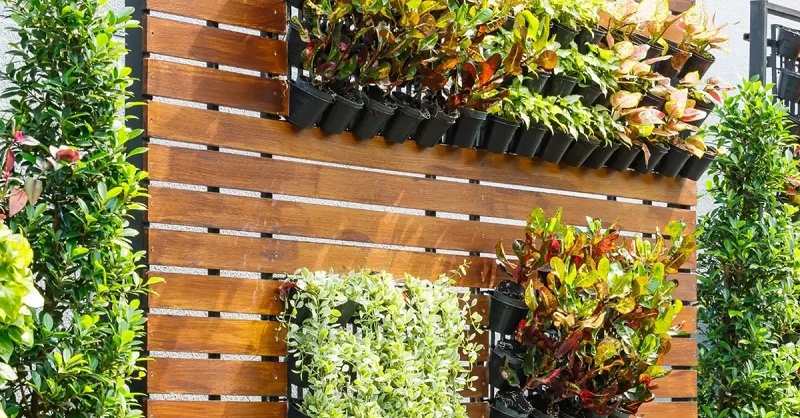 jardin vertical