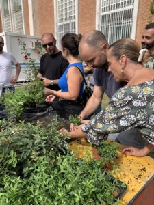 Cursos 14 Paisajismo Urbano Ignacio Solano imparte la tercera edición de cursos presencial en jardines verticales en la ciudad de Barcelona.