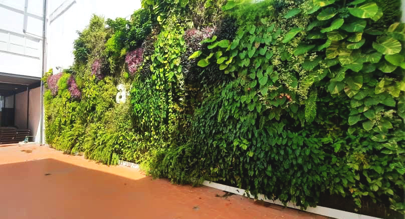 La Habana estrena jardín vertical de 130 metros cuadrados 3 Paisajismo Urbano La Habana estrena jardín vertical de 130 metros cuadrados