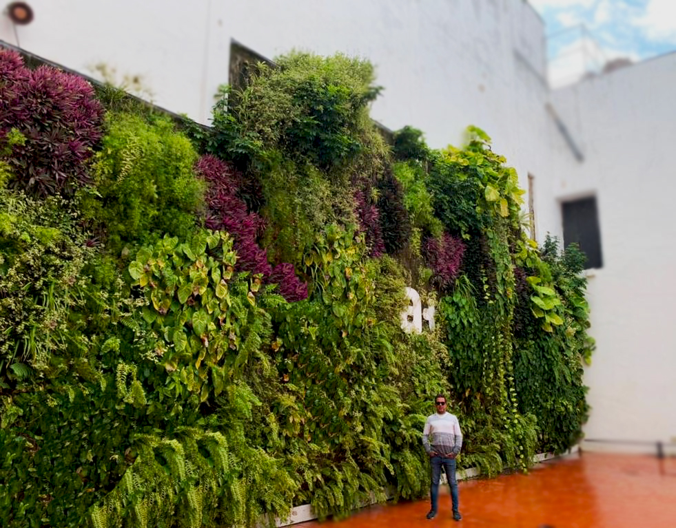 La Habana estrena jardín vertical de 130 metros cuadrados 1 Paisajismo Urbano La Habana estrena jardín vertical de 130 metros cuadrados