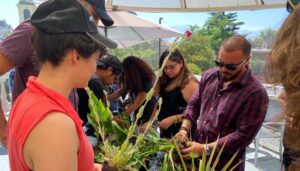 Cursos 6 Paisajismo Urbano cursos de jardines verticales