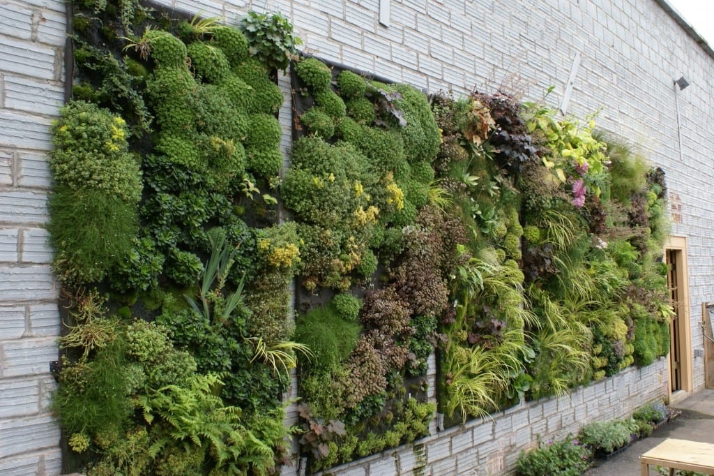 mantener un jardin vertical
