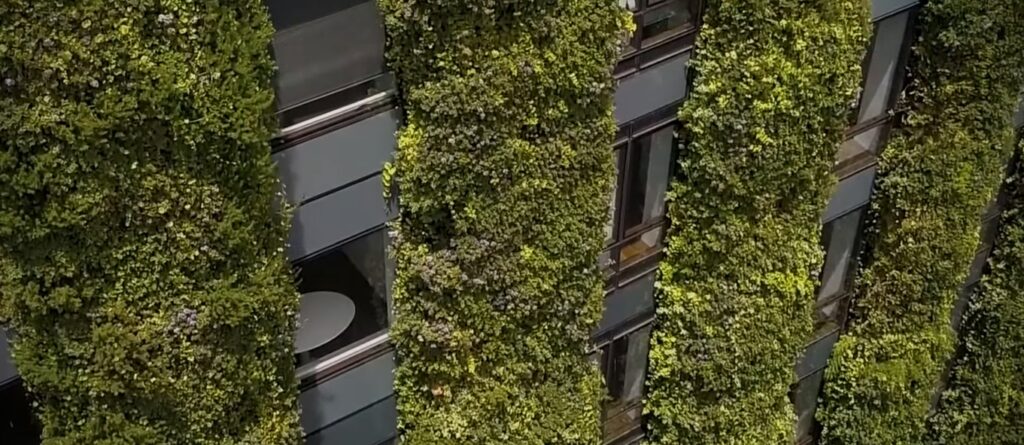 Ecosistema-Verde