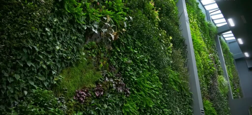 Naturpots-es-la-nueva-tendencia