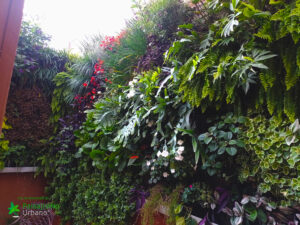 jardin vertical en buenos aires argentina hecho por guillermo penzotti 2