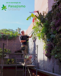 jardin vertical en buenos aires argentina hecho por guillermo penzotti