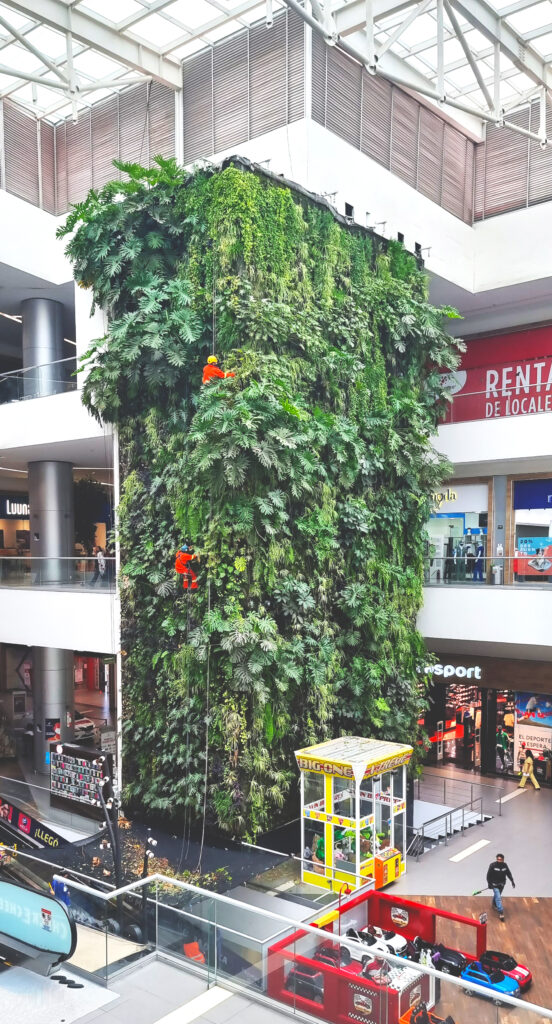 Jardines verticales para impulsar a la mujer emprendedora en México y Guatemala 2 Paisajismo Urbano Jardín Vertical en Centro Comercial Encuentro Fortuna