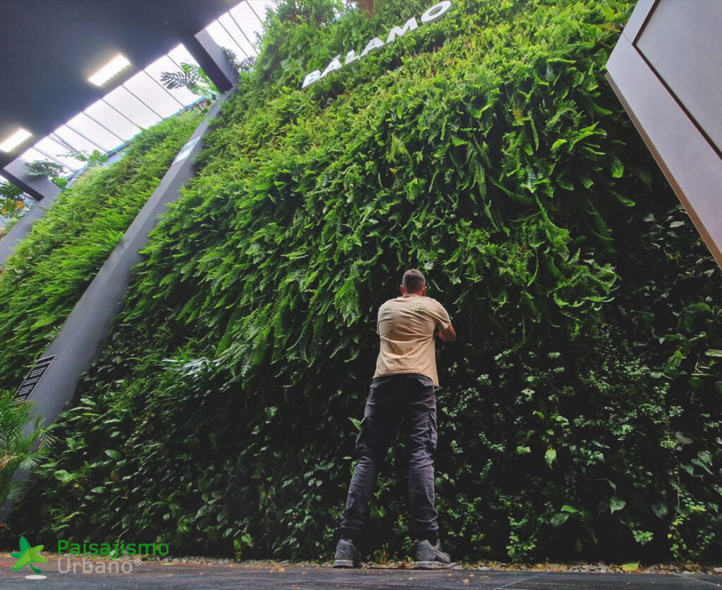 Jardín vertical restaurante Bálamo en Madrid​