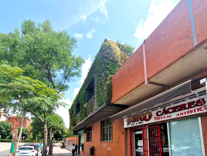 Cáceres instala en la estación de autobuses su primer jardín vertical, de 150 metros cuadrados y 5.000 plantas