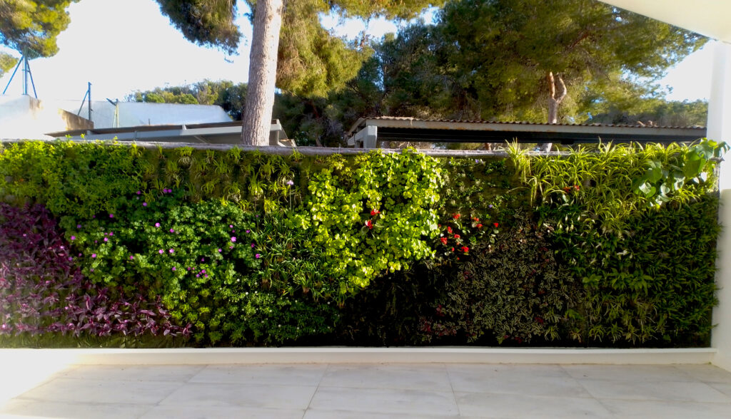 1.000 plantas de 10 especies para el primer jardín hidropónico elaborado con la técnica de Ecosistema Vertical 2 Paisajismo Urbano 1.000 plantas de 10 especies para el primer jardín hidropónico elaborado con la técnica de Ecosistema Vertical