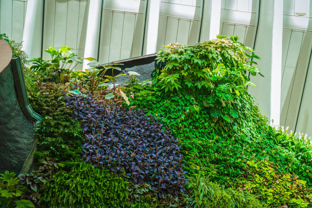 Caixa forum Valencia - El jardín vertical gana su primer premio 2 Paisajismo Urbano jardin vertical mas grande de europa