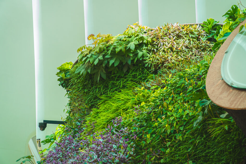 Caixa forum Valencia - El jardín vertical gana su primer premio 3 Paisajismo Urbano caixa forum valencia