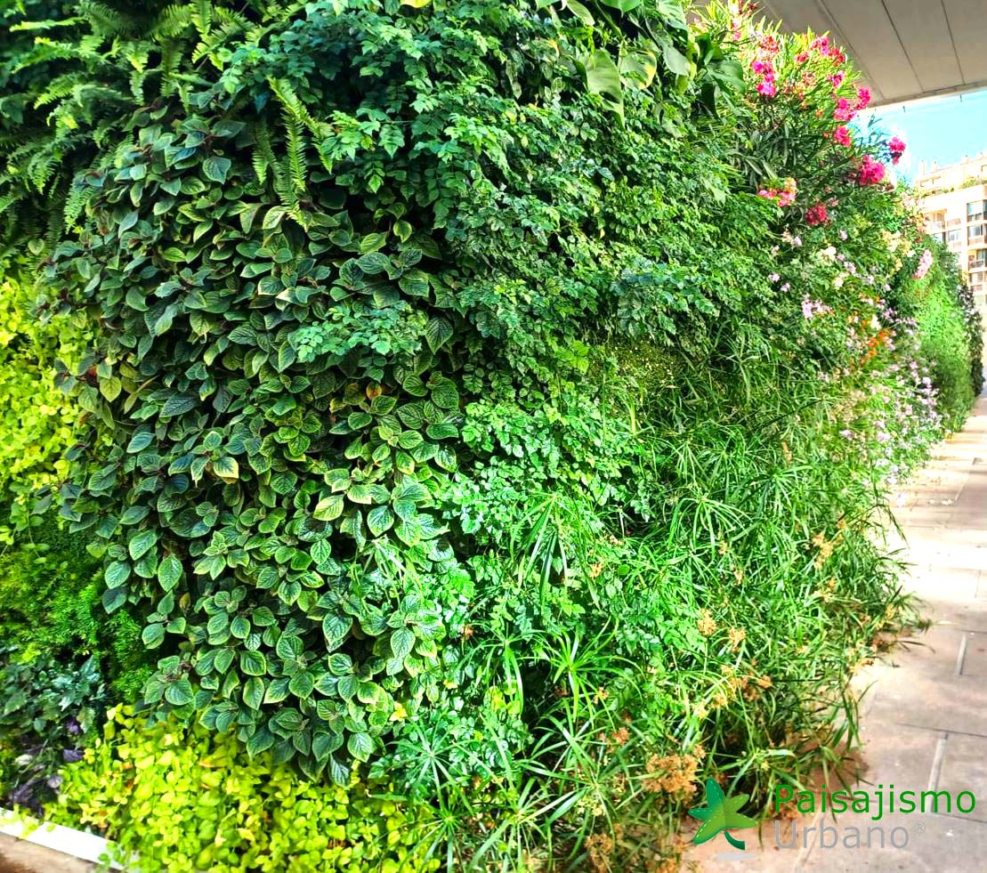 Jardín Vertical en AYTO de Benidorm