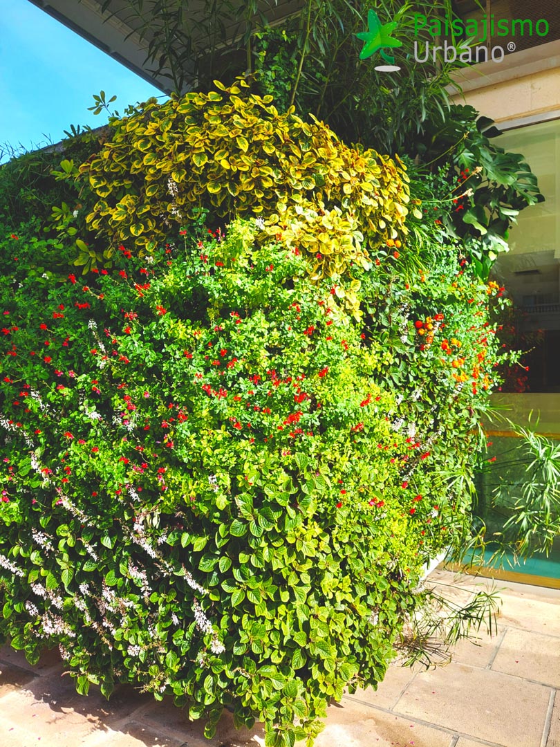 Jardín Vertical en AYTO de Benidorm