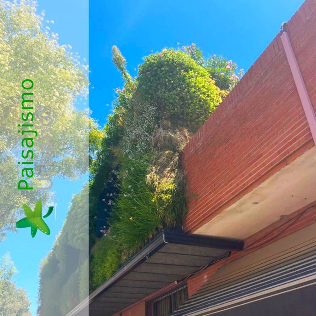 Jardín Vertical en la Estación de autobuses de Cáceres​