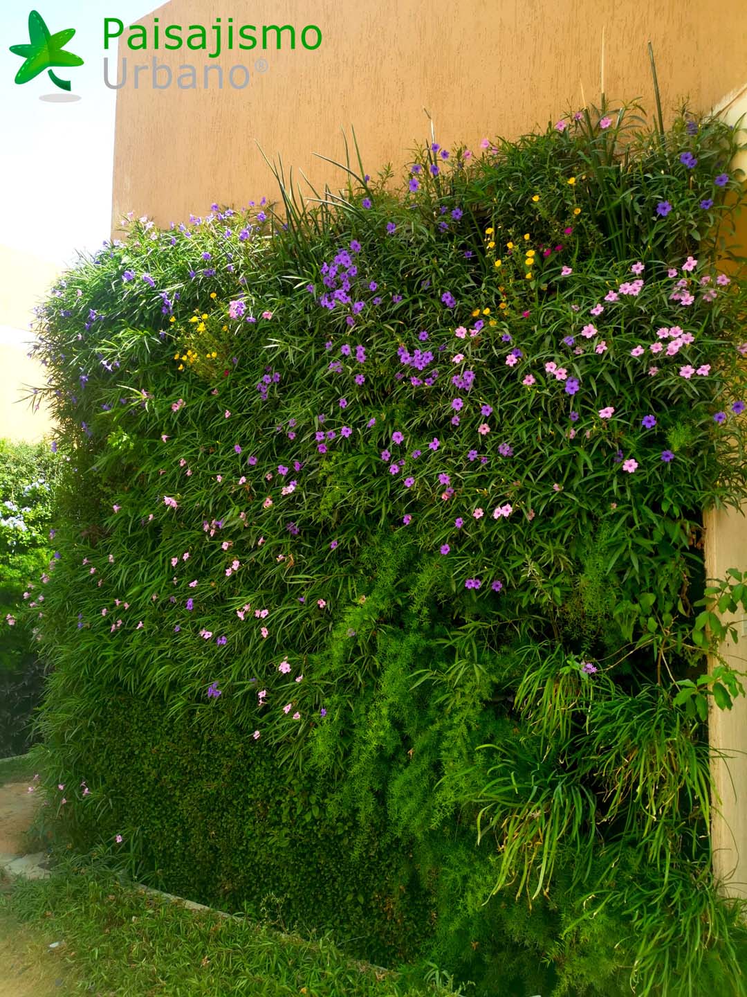 jardines verticales residencia arabia
