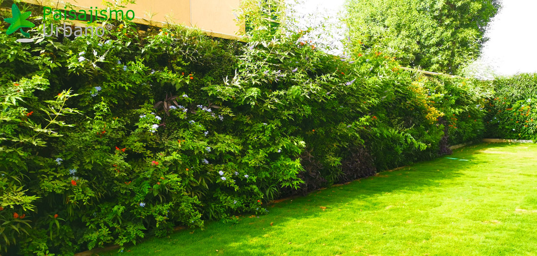 jardin vertical residencia privada arabia